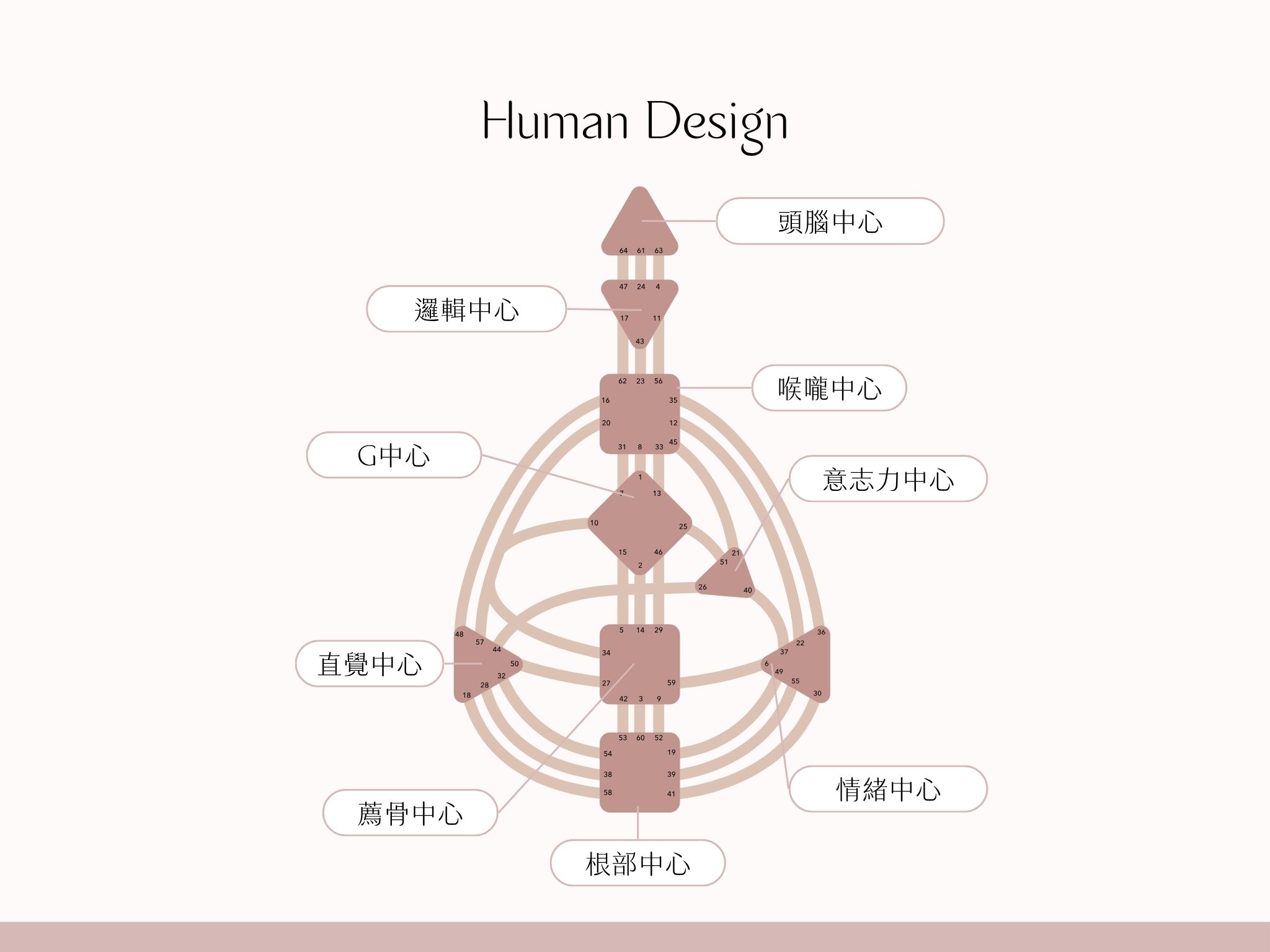 人類圖九大能量中心