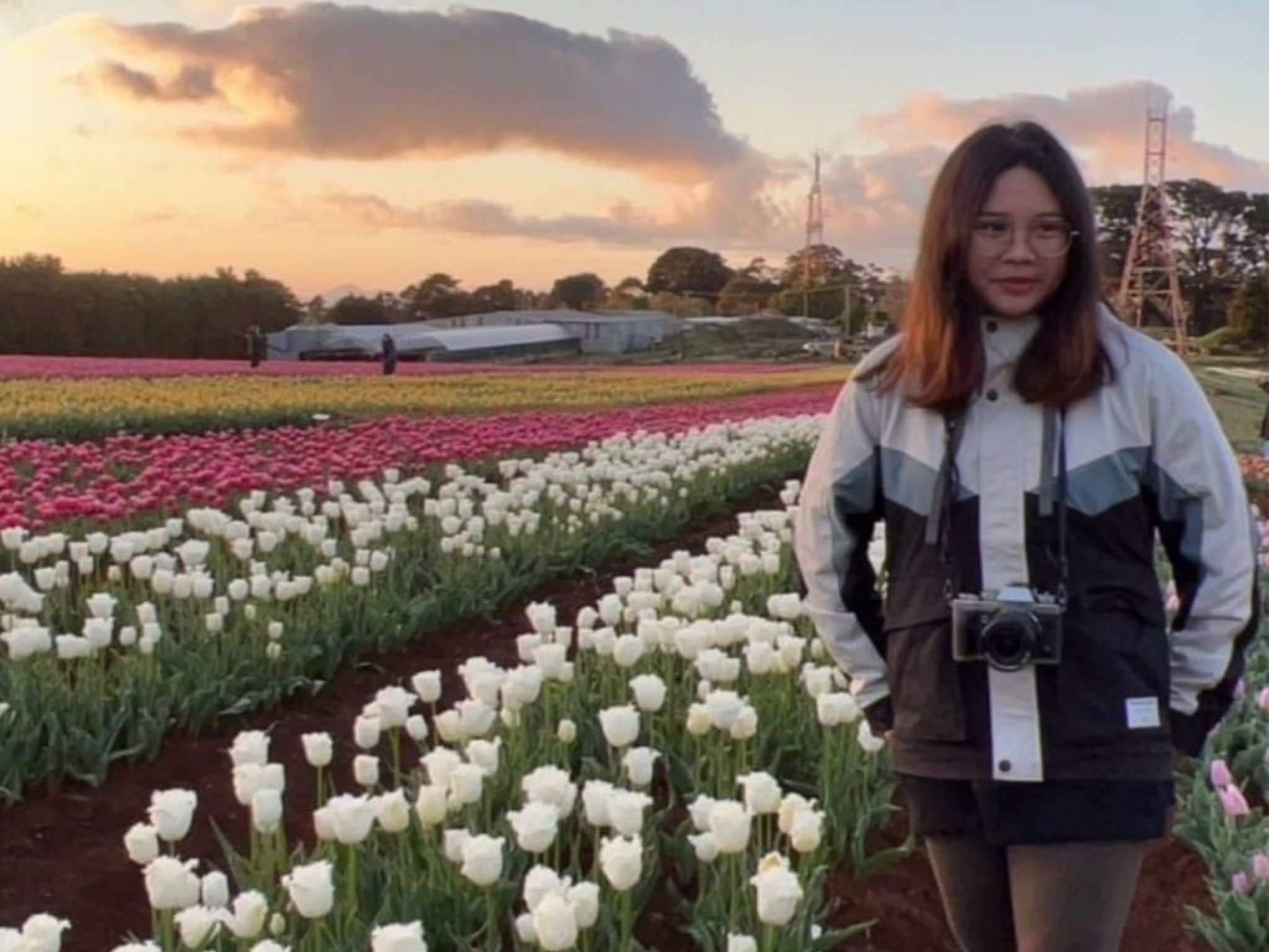 Table cape tulip farm 鬱金香農場